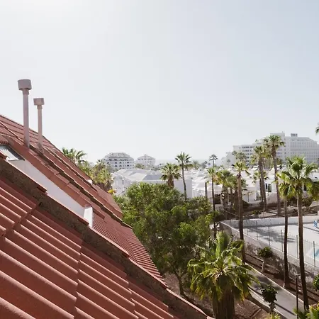 Melo Sur Playa de las Americas (Tenerife)