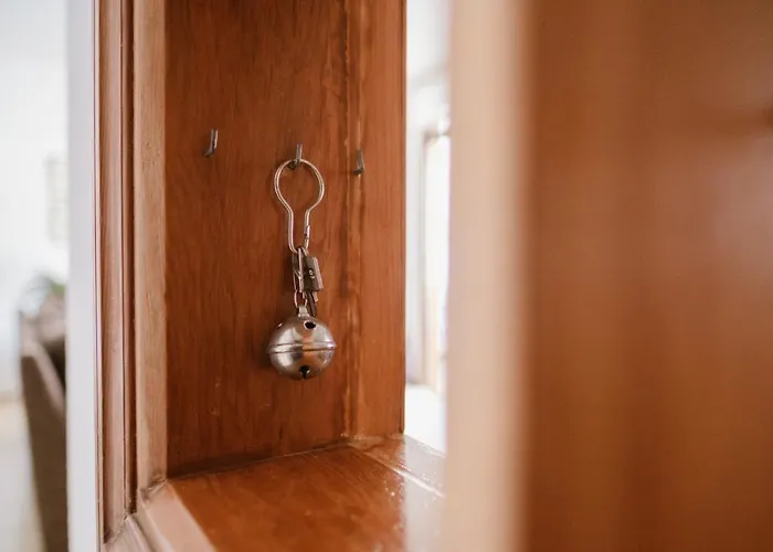 Melo Sur Playa de las Americas (Tenerife)